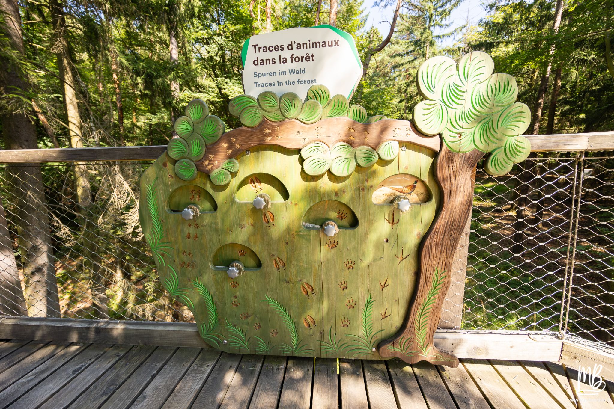 20250810 Le chemin des cimes MB 3